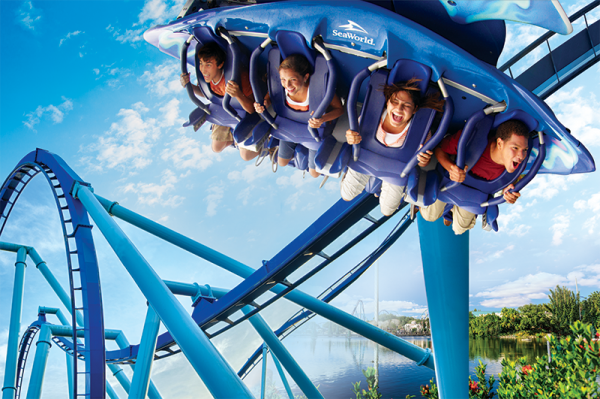  Conoce a SeaWorld Orlando