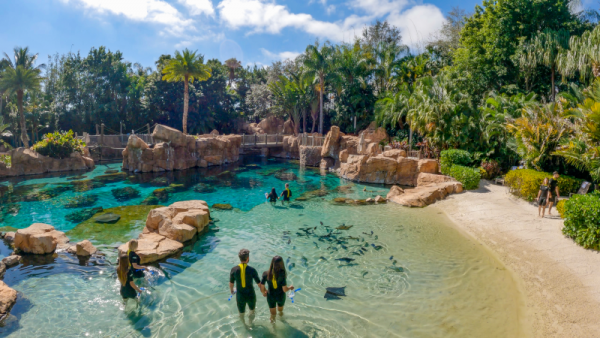 Conoce a Discovery Cove Orlando